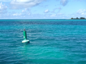 Anegada to najbardziej zewnętrzna z wysp archipelagu w kierunku północnym i jedyna wyspa koralowa | Charter.pl foto: Kasia Kowalska