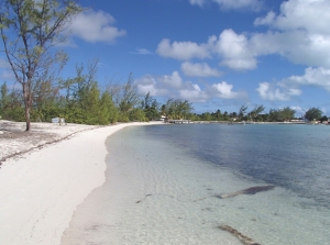 Anegada to najbardziej zewnętrzna z wysp archipelagu w kierunku północnym i jedyna wyspa koralowa | Charter.pl foto: Kasia Kowalska