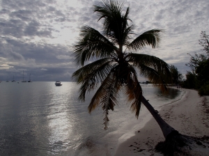 Anegada to najbardziej zewnętrzna z wysp archipelagu w kierunku północnym | Charter.pl foto: Kasia Kowalska