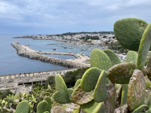 Port Leuca | Charter.pl foto: Katarzyna Kowalska