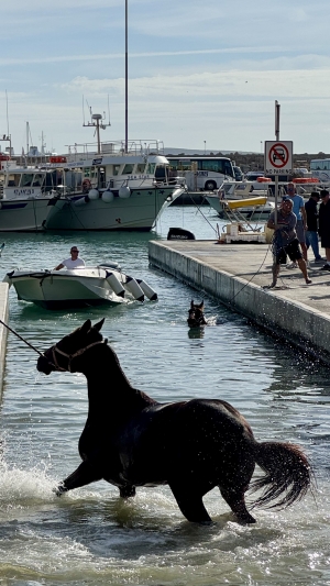 Gozo, Mgarr Marina | Charter.pl foto: Justyna & Bartek