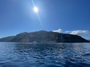 Sporady w najlepszym wydaniu | Charter.pl foto: Katarzyna Kowalska