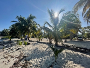 Karaiby inaczej, Belize | Charter.pl foto: Katarzyna Kowalska