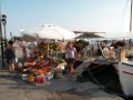 Aegina  foto: Andrzej Kulczycki 