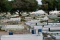 Piękny cmentarz w Hammamet - groby są obkładane piękną kolorową mozaiką  foto: Janek 