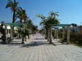 W okolicach mariny w Hammamet  foto:  