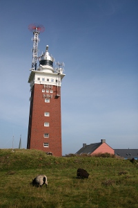 Helgoland  foto: Kasia 