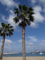 Gran Canaria foto: Piotr Kowalski