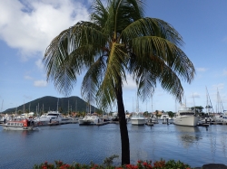 St Lucia marina Rodney Bay foto: Kasia