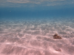 Wyprawa na wyspę Mopion, chyba jedna z najbardziej obfotografowana wysepka foto: Kasia