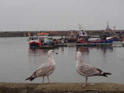 Następny port, ale tylko na chwilkę foto: Piotr Kowalski