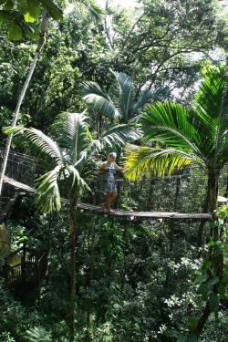 ZOO de Guadeloupe foto: Piotr