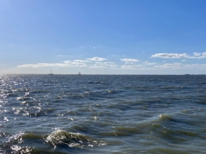 Rejs na Morzu Północnym | Charter.pl foto: Piotr Kowalski