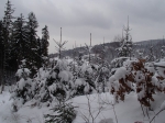 zimowe widoczki foto:  Kasia 