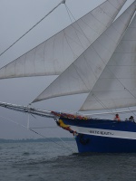 Baltic Sail Gdańsk 2011 