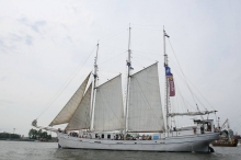 XX Zlot żaglowców Baltic Sail 2015