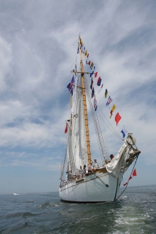 XX Zlot żaglowców Baltic Sail 2015