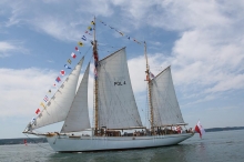 XX Zlot żaglowców Baltic Sail 2015