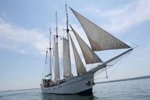 XX Zlot żaglowców Baltic Sail 2015