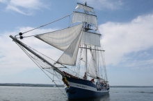 XX Zlot żaglowców Baltic Sail 2015