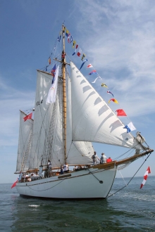 XX Zlot żaglowców Baltic Sail 2015