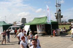 Operacja Żagiel "The Tall Ships' Races" (Gdynia 2009) foto: Kasia&Peter