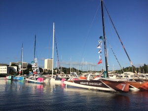 Finał regat Route du Rhum Gwadelupa | Charter.pl foto: Kasia Kowalska